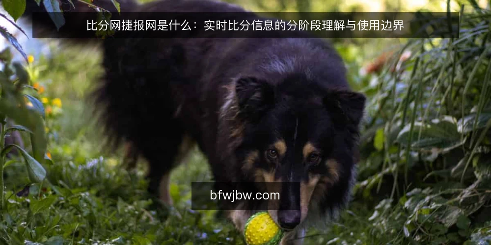 比分网捷报网是什么：实时比分信息的分阶段理解与使用边界 — 实时比分信息的基本定义与定位 配图